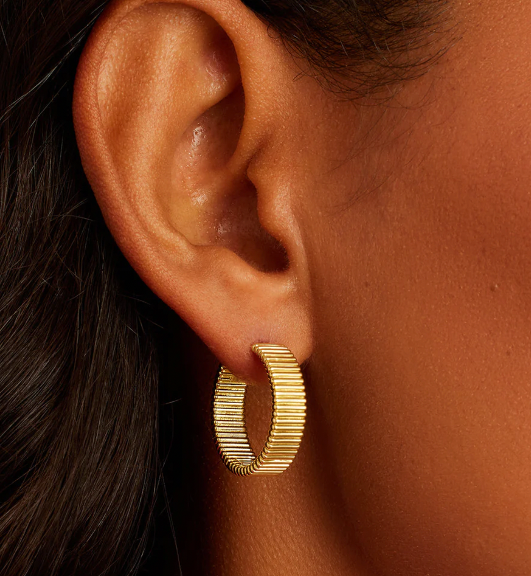Catalina Hoops